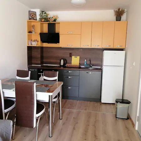 Star - звезден плаж * プリモルスコ